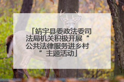 靖宇县委政法委司法局机关积极开展“公共法律服务进乡村”主题活动